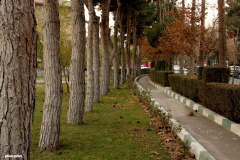 محوطه شمال غربی